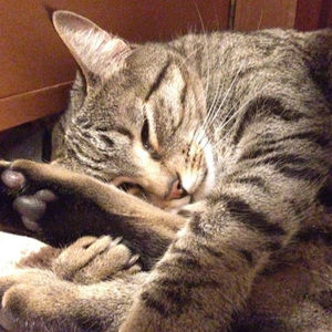 Meet your Posher, Katherine